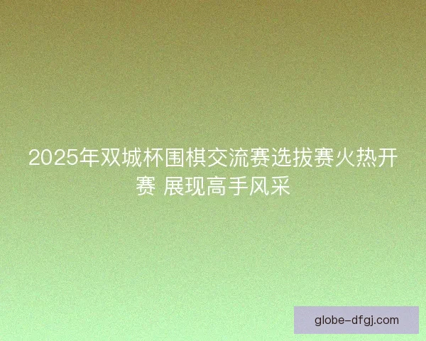 2025年双城杯围棋交流赛选拔赛火热开赛 展现高手风采